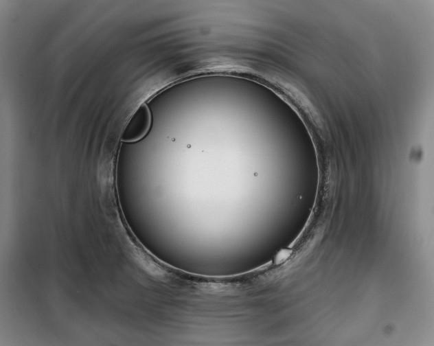 X0000100471281200806131119