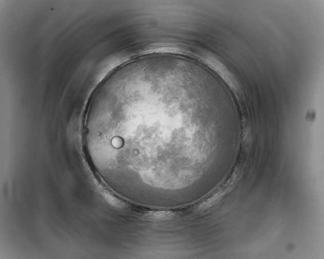 X0000100471282200806131119