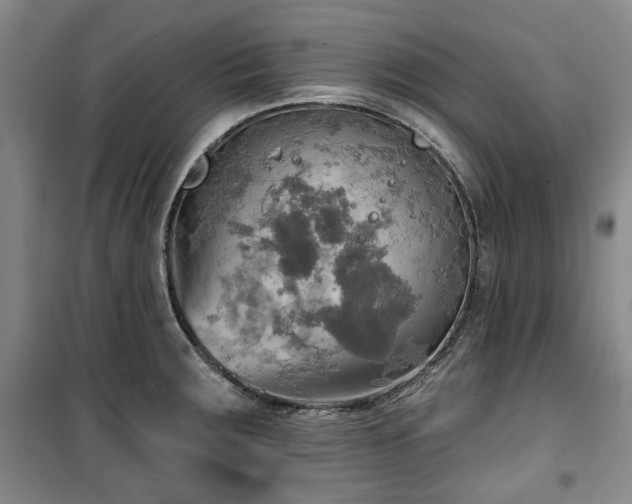 X0000100471283200806131119