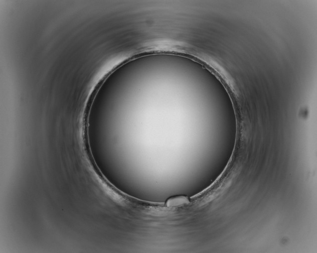 X0000100471285200806131119