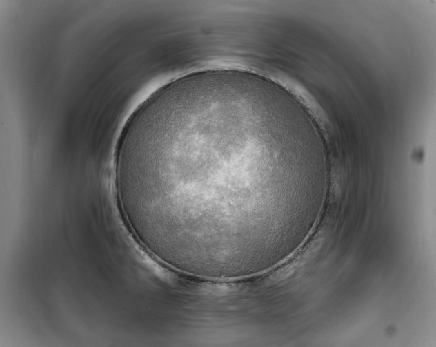 X0000100471286200806131119