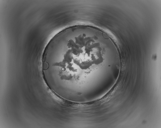 X0000100471287200806131119