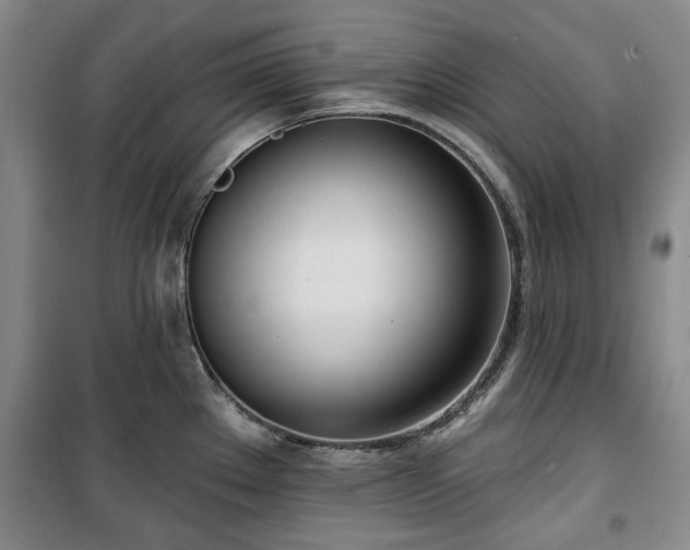 X0000100471289200806131119