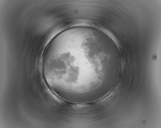 X0000100471290200806131119