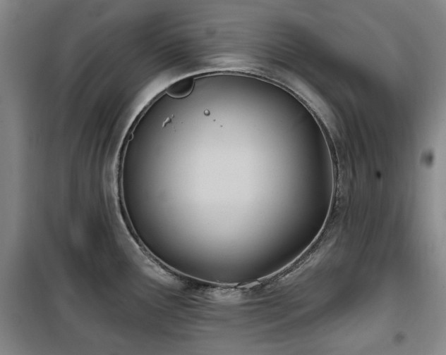 X0000100471291200806131119