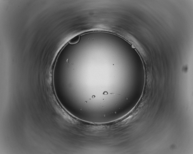 X0000100471292200806131119