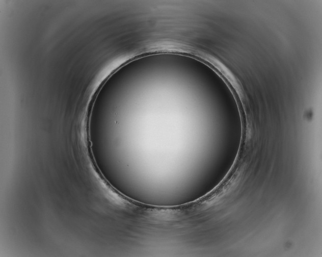 X0000100471293200806131119