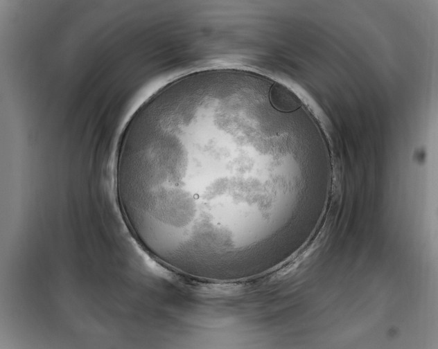 X0000100471294200806131119