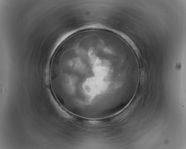 X0000100471295200806131119