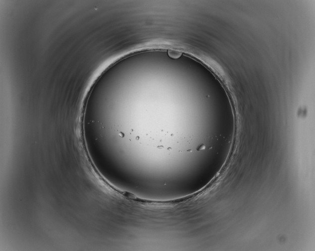 X0000100471296200806131119