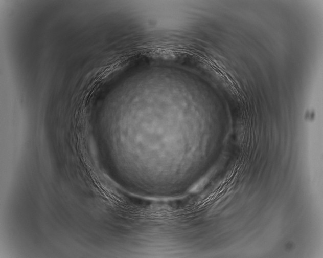 X0000100471297200806131118