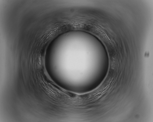 X0000100471298200806131118