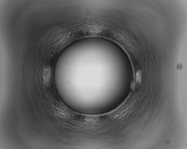 X0000100471299200806131118