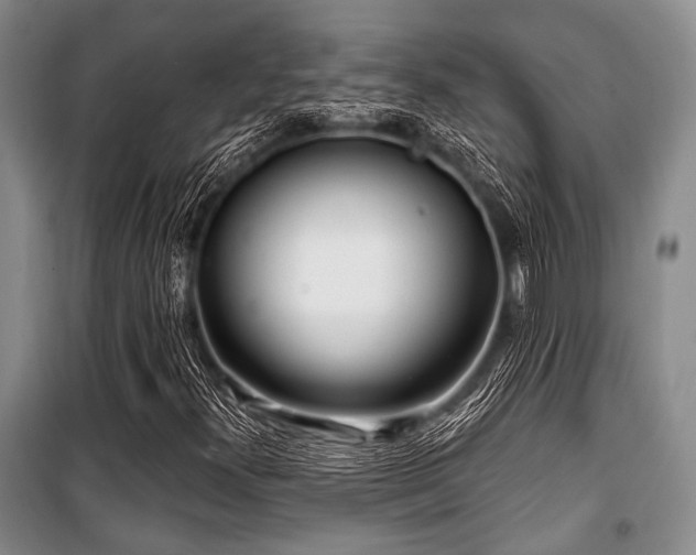 X0000100471300200806131118