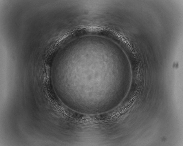 X0000100471301200806131118