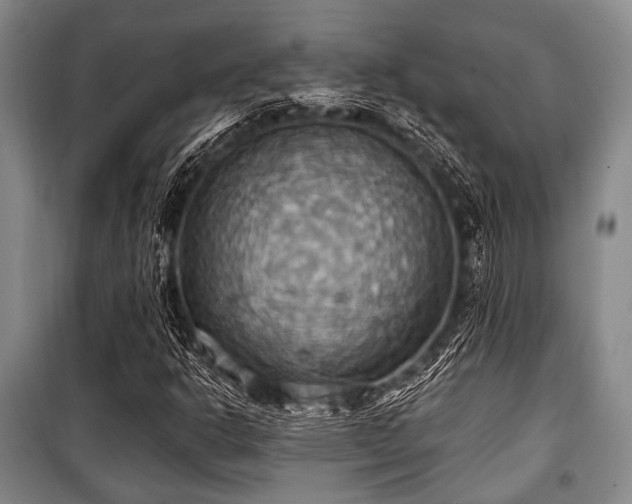 X0000100471302200806131118