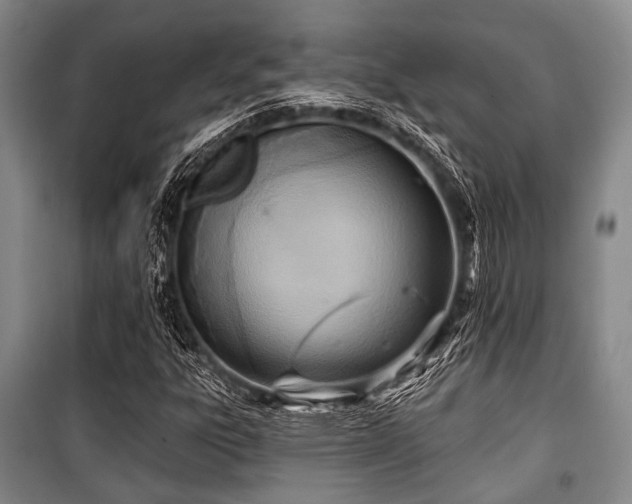 X0000100471303200806131118