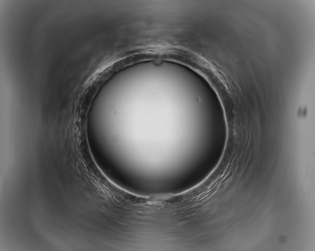 X0000100471304200806131118