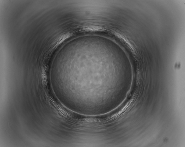 X0000100471305200806131118