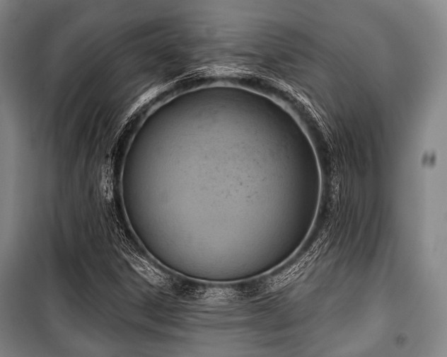 X0000100471306200806131118