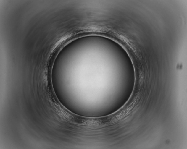 X0000100471307200806131118