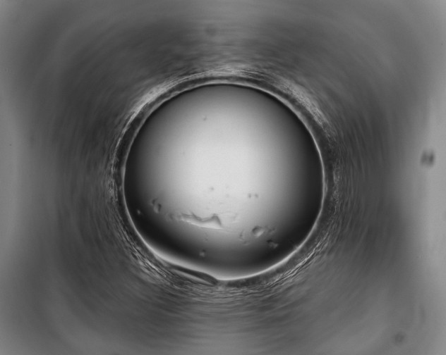 X0000100471308200806131118