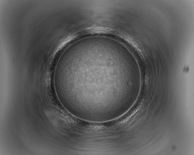 X0000100471309200806131118