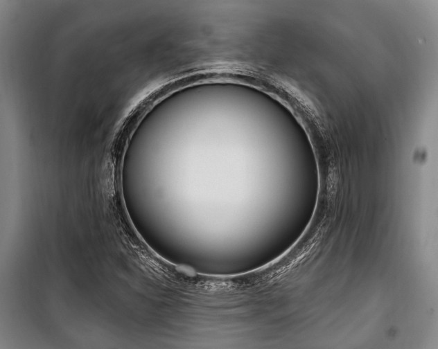 X0000100471310200806131118