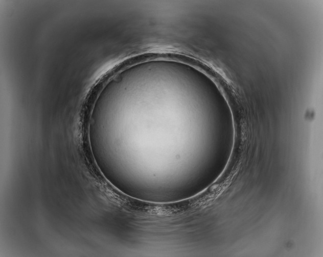 X0000100471311200806131118