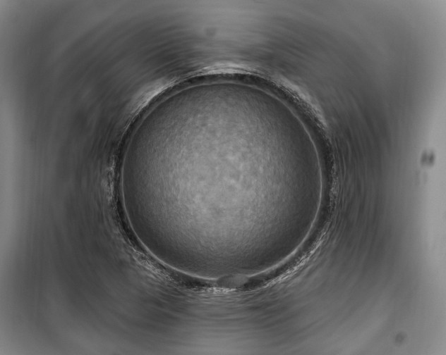 X0000100471313200806131118