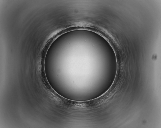 X0000100471315200806131118