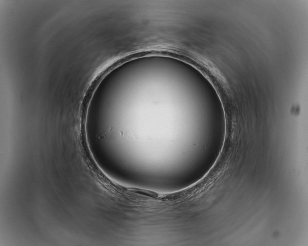 X0000100471316200806131118