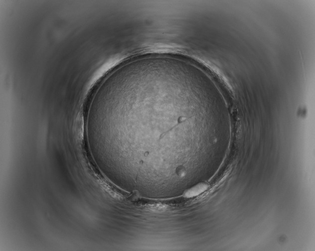 X0000100471317200806131118