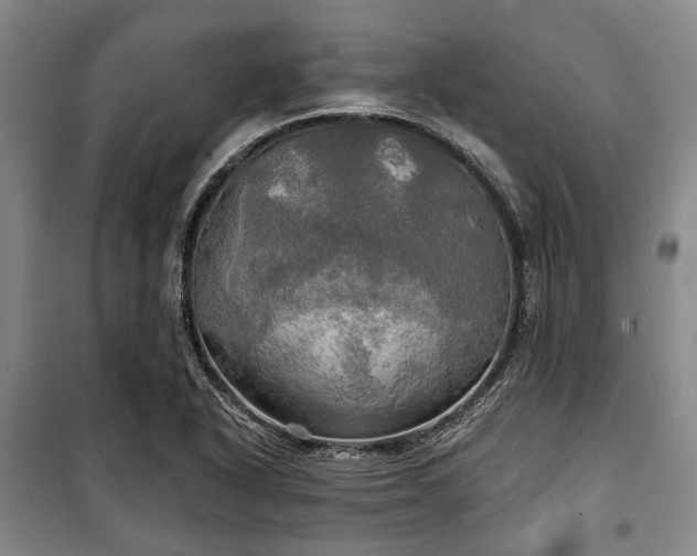 X0000100471318200806131118