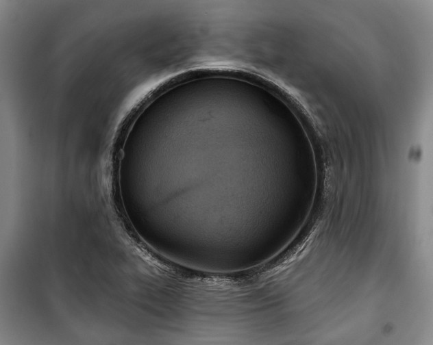 X0000100471319200806131118