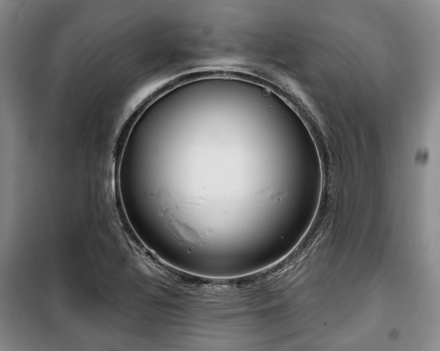 X0000100471320200806131118