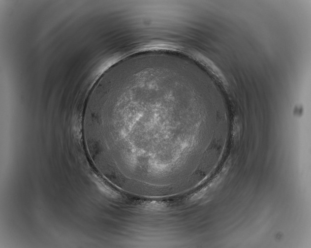 X0000100471321200806131118