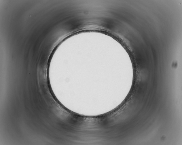 X0000100471322200806131118