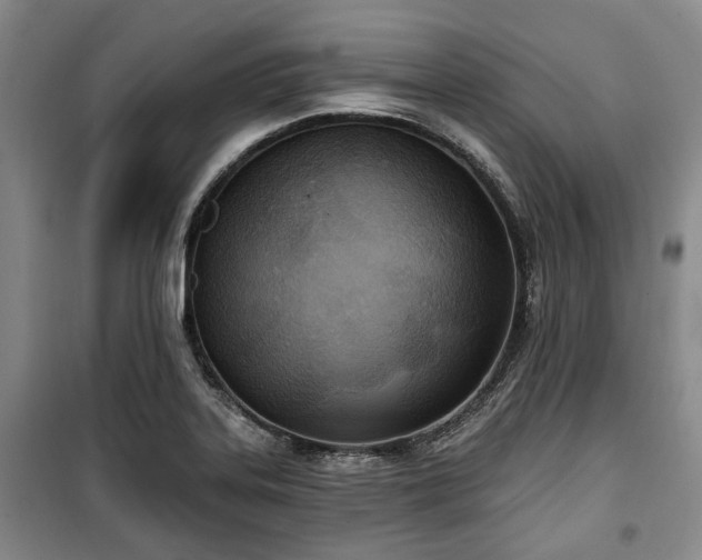 X0000100471323200806131118