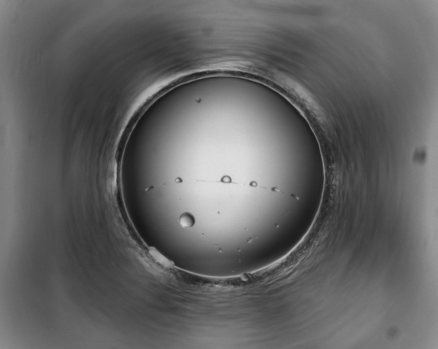 X0000100471324200806131118