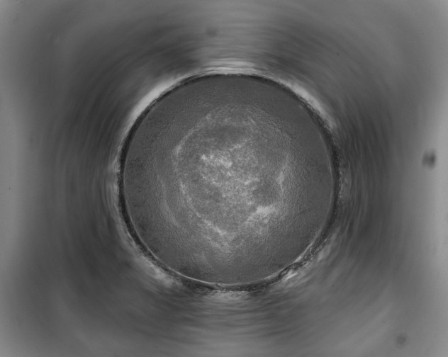 X0000100471325200806131119