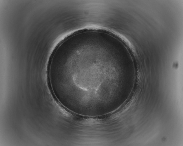 X0000100471327200806131119