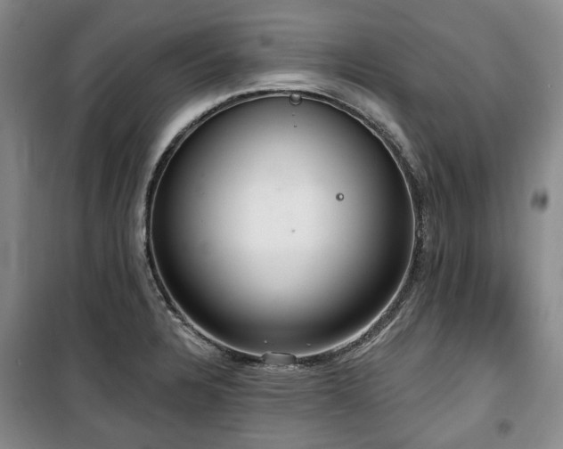 X0000100471328200806131119