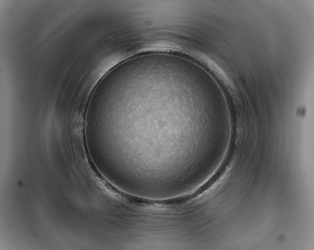 X0000100471329200806131119