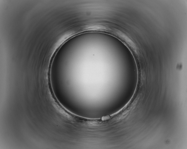 X0000100471330200806131119