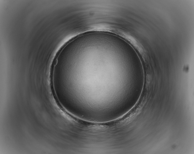 X0000100471331200806131119