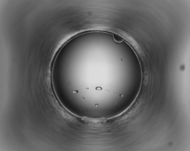 X0000100471332200806131119