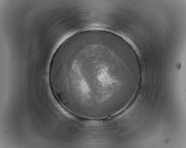 X0000100471333200806131119