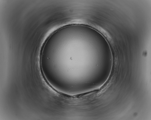 X0000100471334200806131119