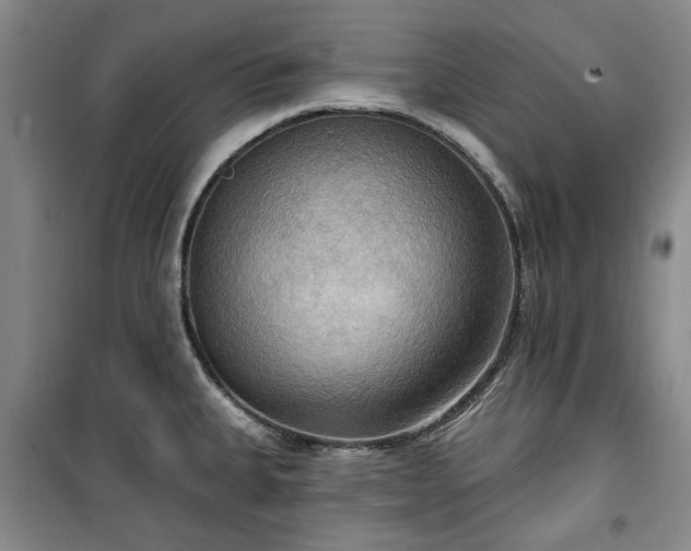 X0000100471335200806131119